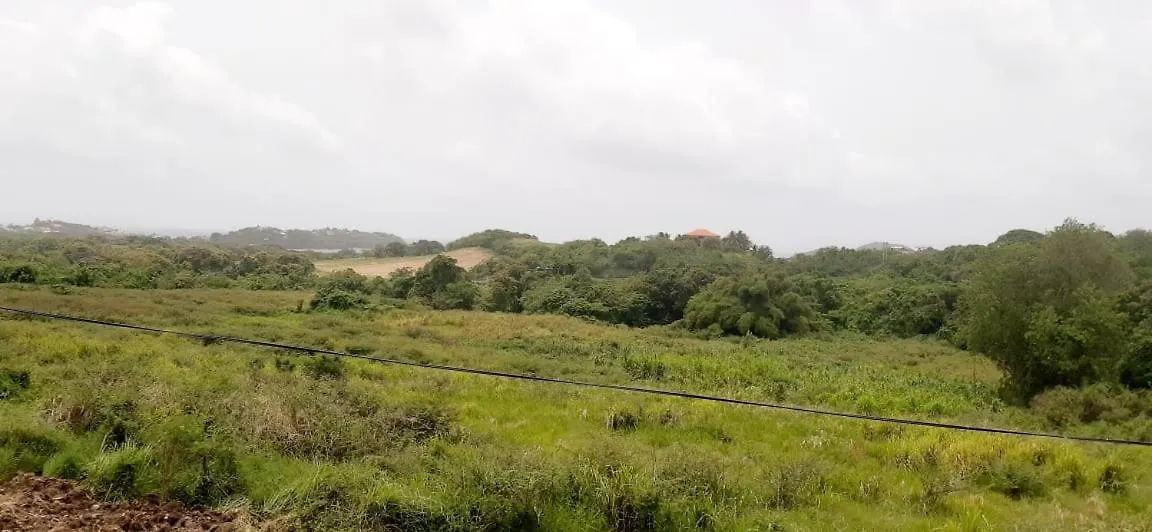 Apartament Petit F2 En Campagne Au Vauclin Le Vauclin
